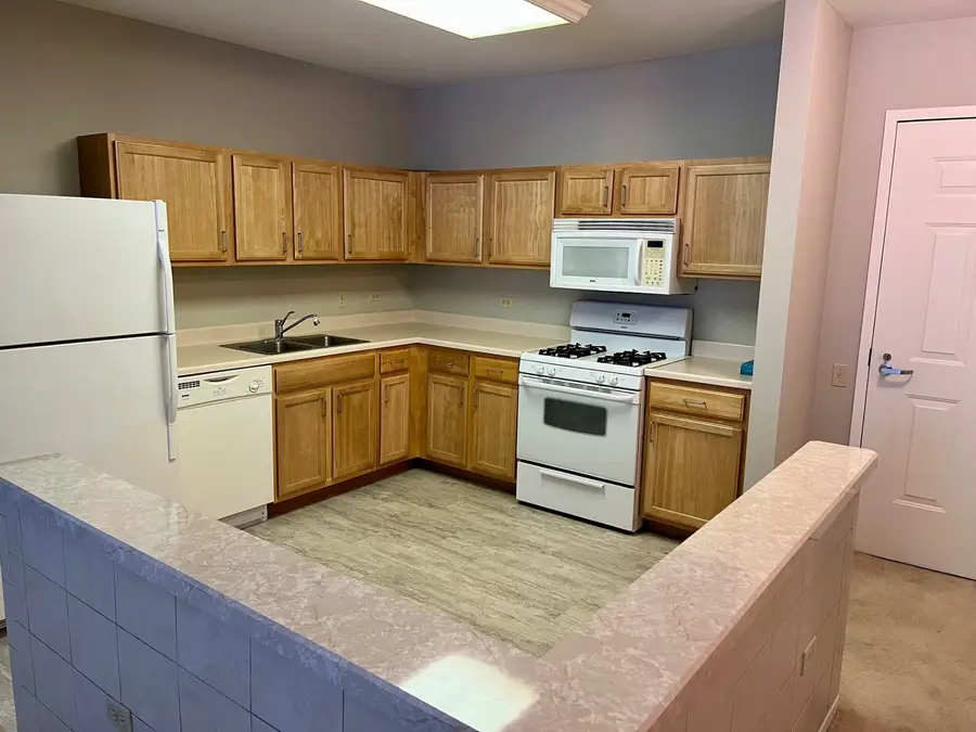 6710 S Keating Avenue #201, Chicago, IL 60629 - #2