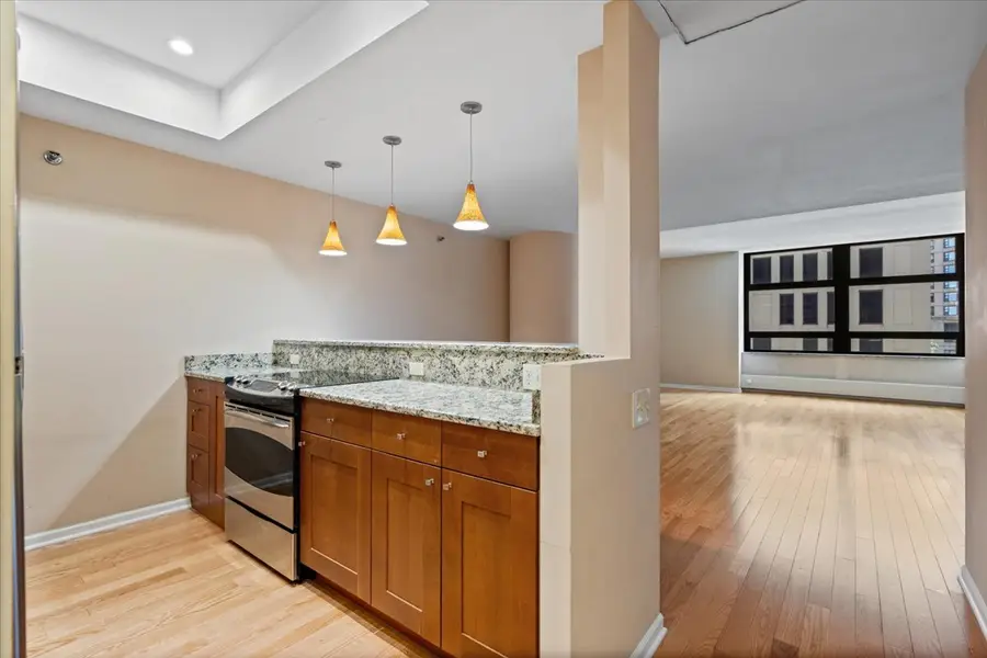 680 N Lake Shore Drive #313, Chicago, IL 60611 - #2