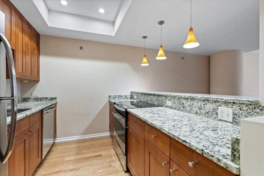 680 N Lake Shore Drive #313, Chicago, IL 60611 - #3