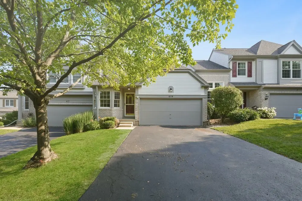 419 Orleans Avenue, Naperville, IL 60565 - #1
