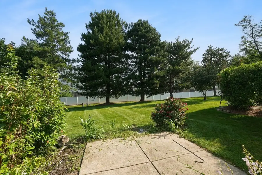 419 Orleans Avenue, Naperville, IL 60565 - #2