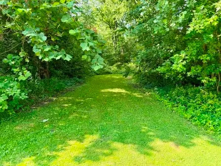 3011 N 15270e Road, Momence, IL 60954 - #3