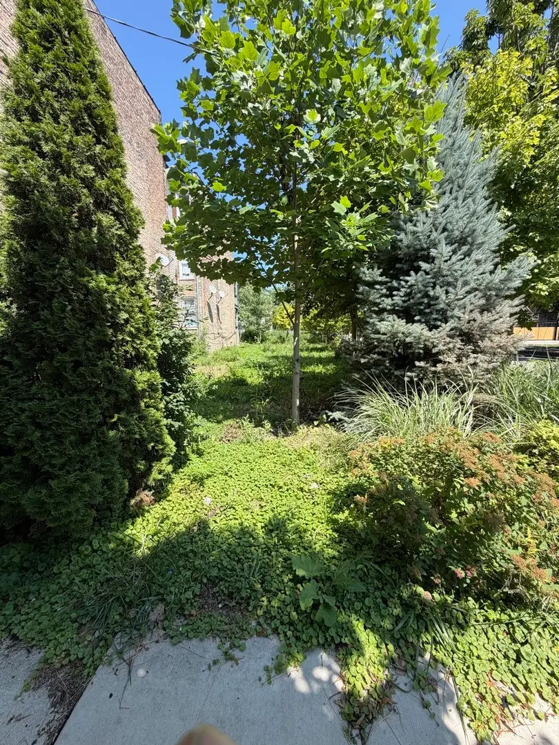 1449 S Spaulding Avenue, Chicago, IL 60623 - #2
