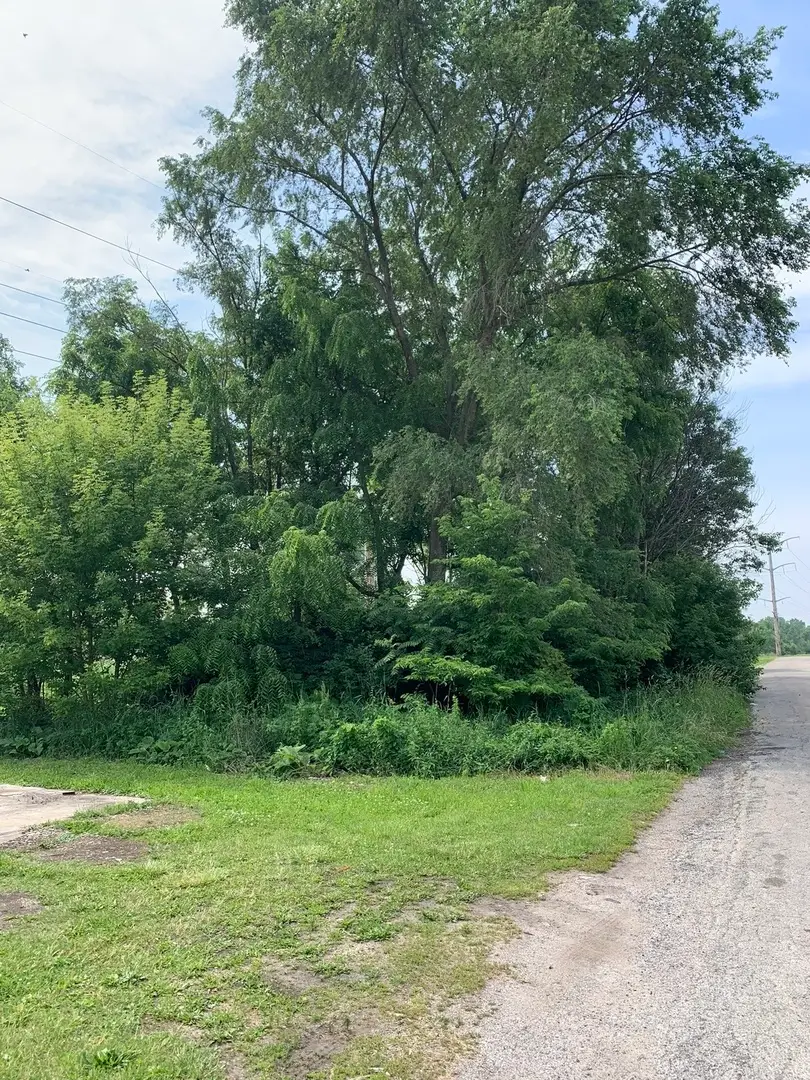 1178-1164 S Washington Avenue, Kankakee, IL 60901 - #1