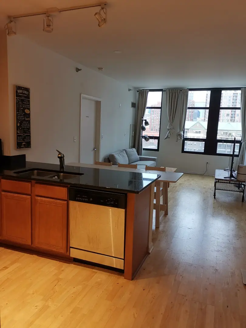 1255 S State Street #801, Chicago, IL 60605 - #2