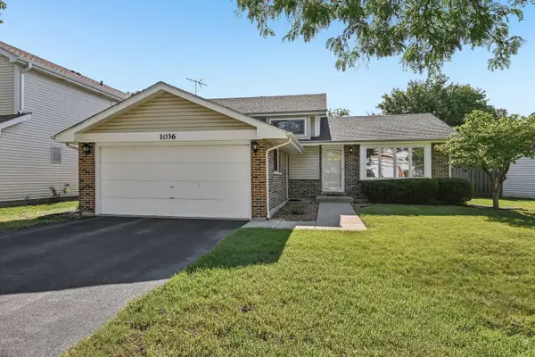 1036 E Meadow Lake Drive, Palatine, IL 60074