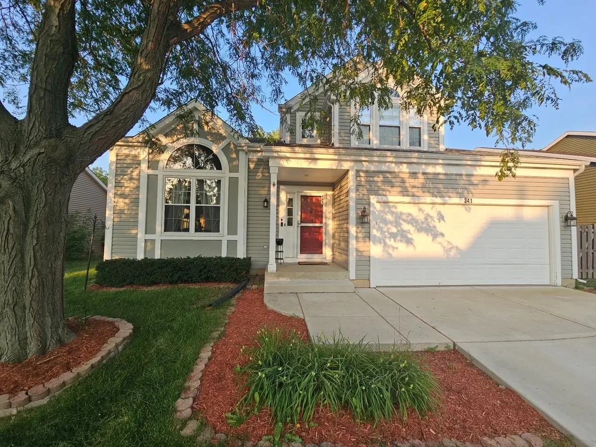 341 Dorchester Lane, Grayslake, IL 60030 - #1