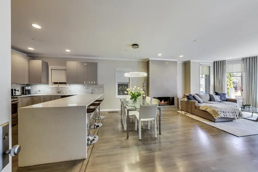 1856 N Halsted Street #1N, Chicago, IL 60614 - #3
