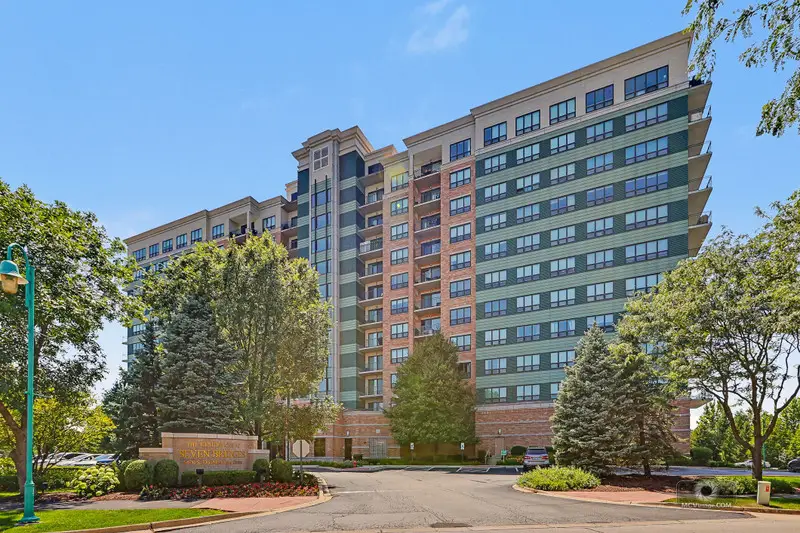 6420 Double Eagle Drive #905, Woodridge, IL 60517 - #1