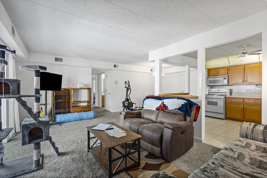 6248 S Gullikson Road #2E, Chicago, IL 60638 - #2