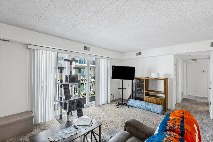 6248 S Gullikson Road #2E, Chicago, IL 60638 - #3