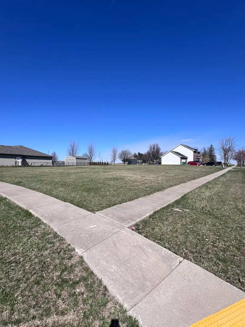 21140 S Magnolia Lane, Elwood, IL 60421 - #1