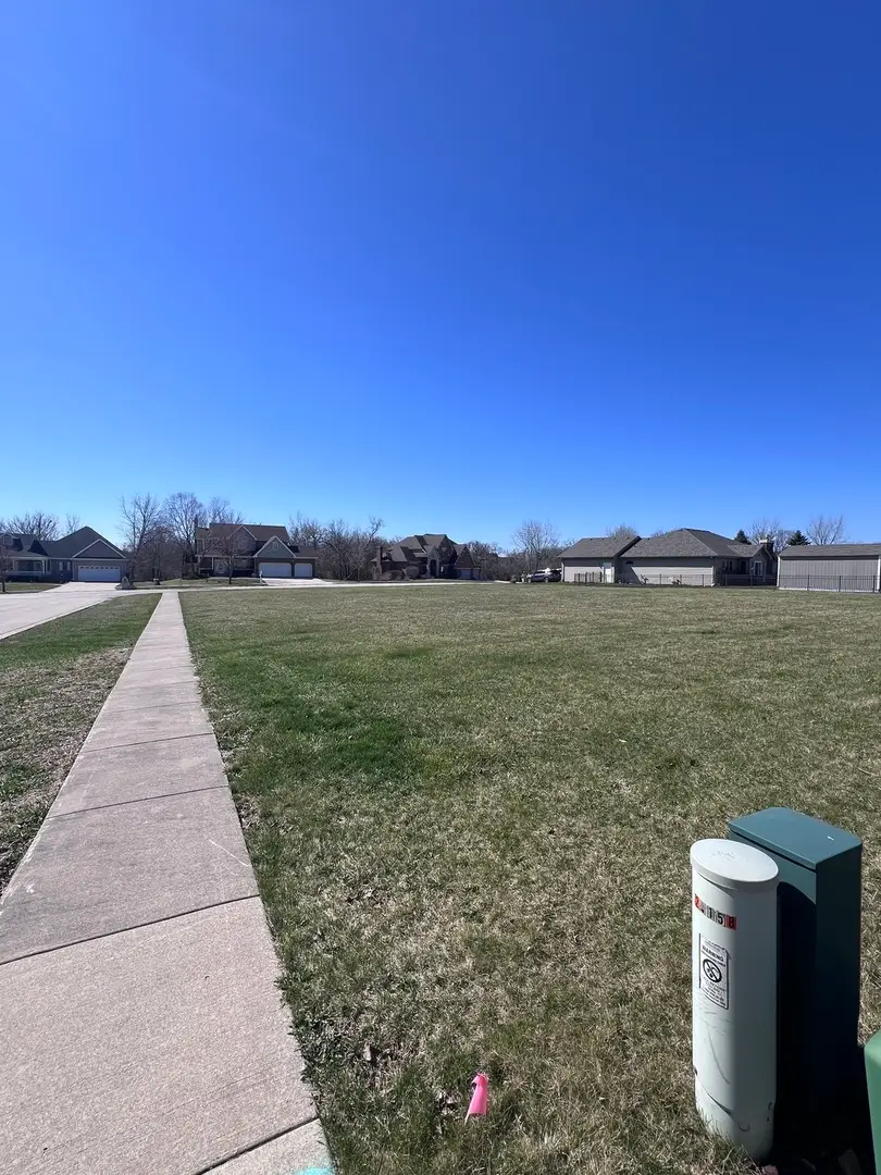 21140 S Magnolia Lane, Elwood, IL 60421 - #2