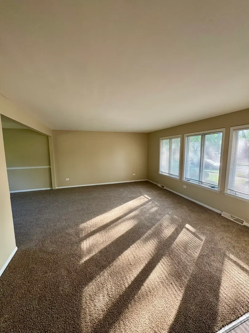 22421 Arquilla Drive, Richton Park, IL 60471 - #3