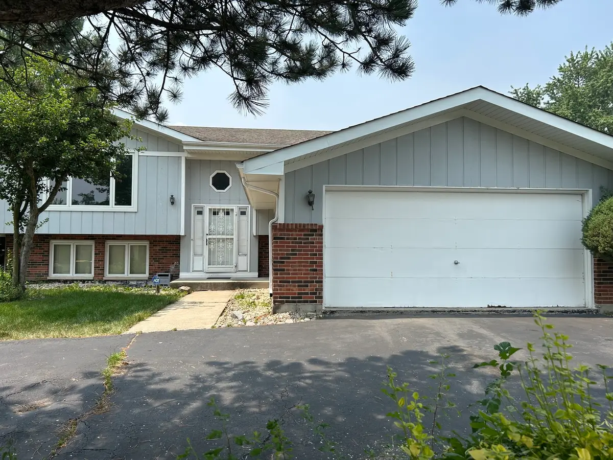 20148 Cypress Avenue, Lynwood, IL 60411 - #1