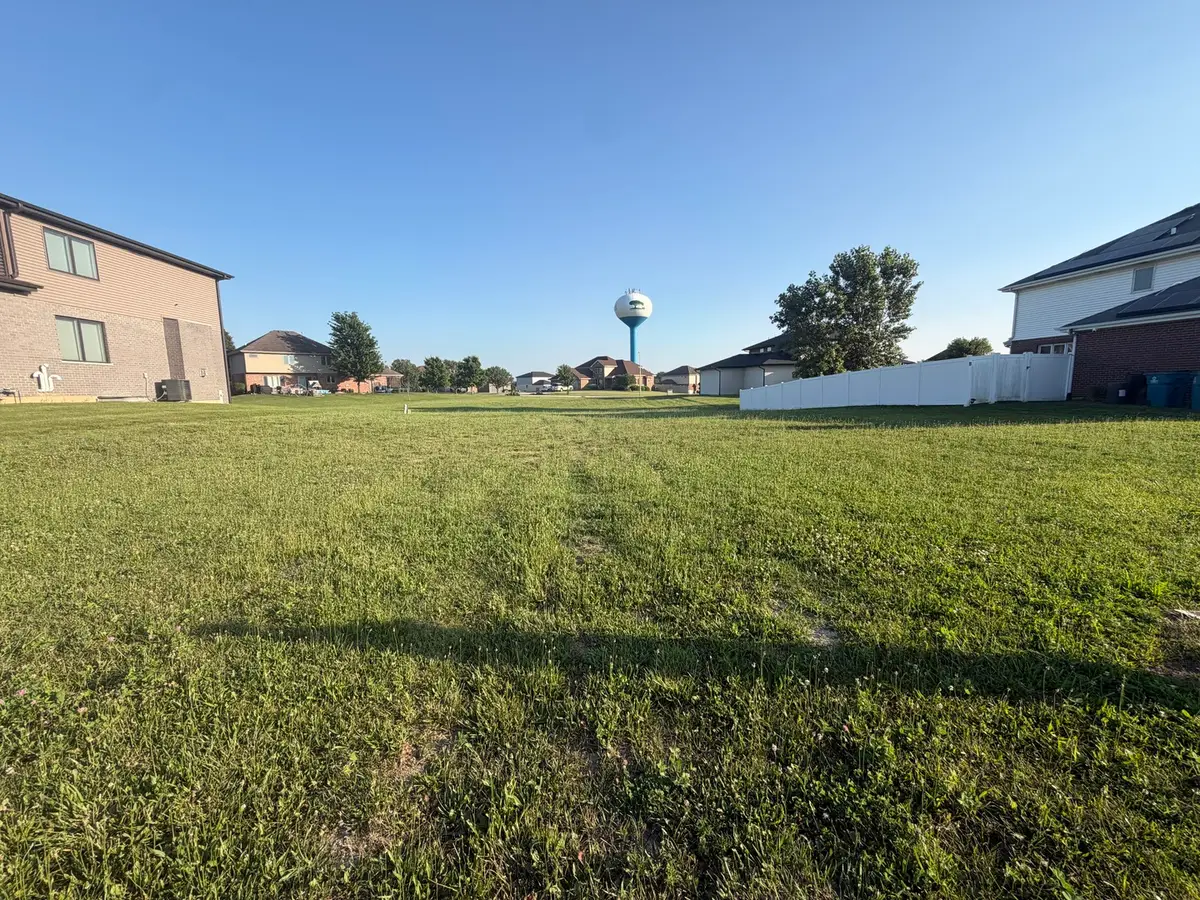 4963 W Ribbon Drive, Monee, IL 60449 - #1