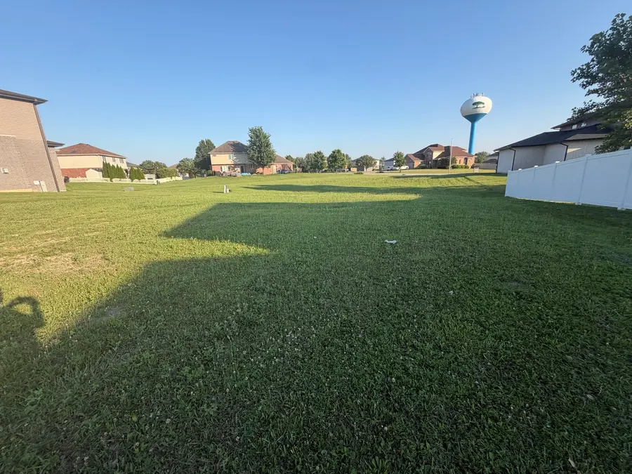4963 W Ribbon Drive, Monee, IL 60449 - #3