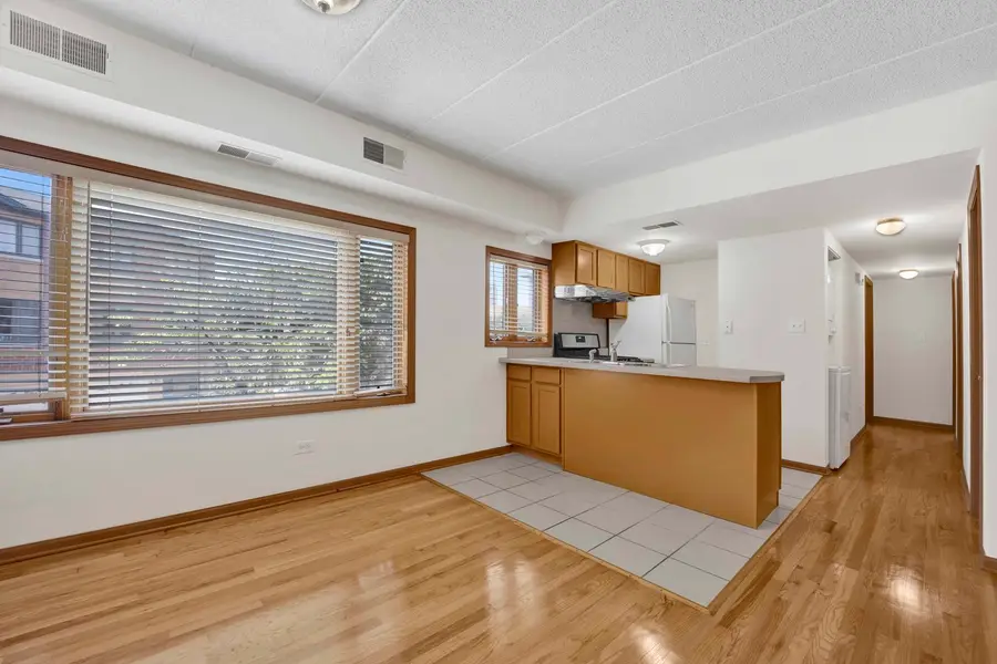1922 S Wells Street #2F, Chicago, IL 60616 - #3