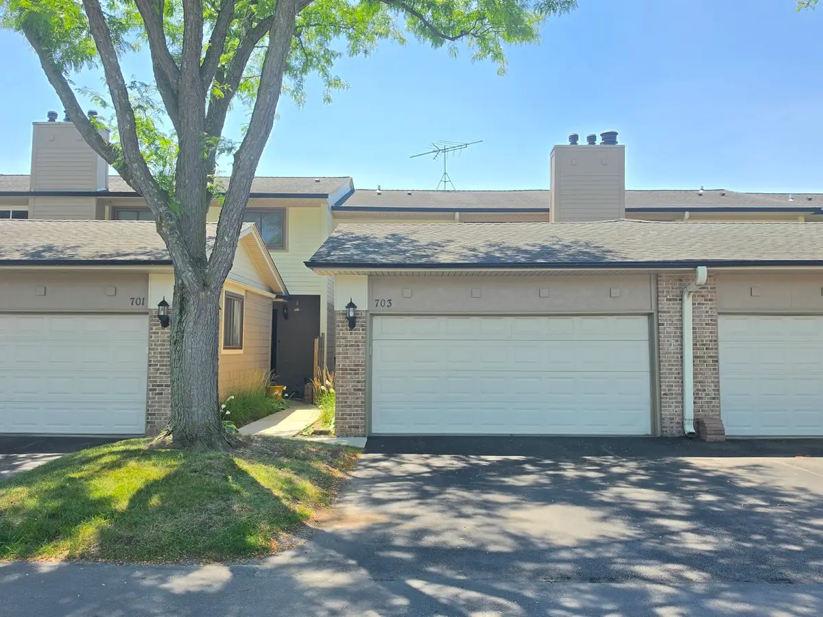 703 Mallard Lane, Deerfield, IL 60015 - #1