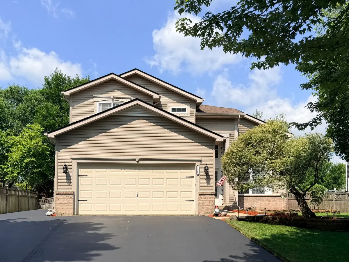 217 Jonathan Way, Bolingbrook, IL 60490 - #1