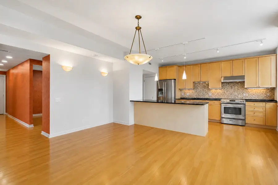 1000 N Lake Shore Plaza #24C, Chicago, IL 60611 - #2