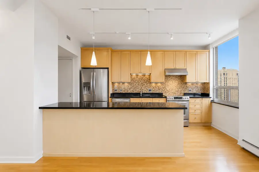 1000 N Lake Shore Plaza #24C, Chicago, IL 60611 - #3
