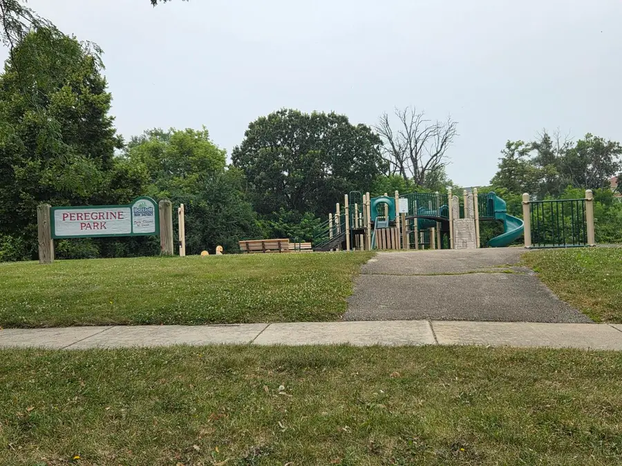 542 Peregrine Parkway, Bartlett, IL 60103 - #3