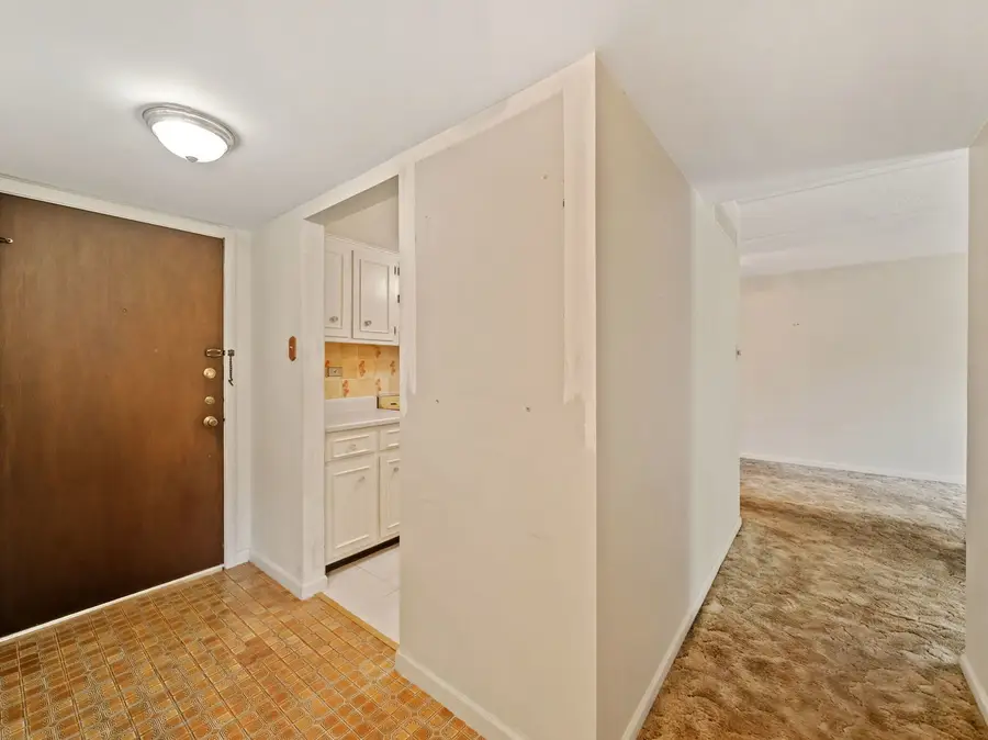 500 Redondo Drive #205, Downers Grove, IL 60516 - #2