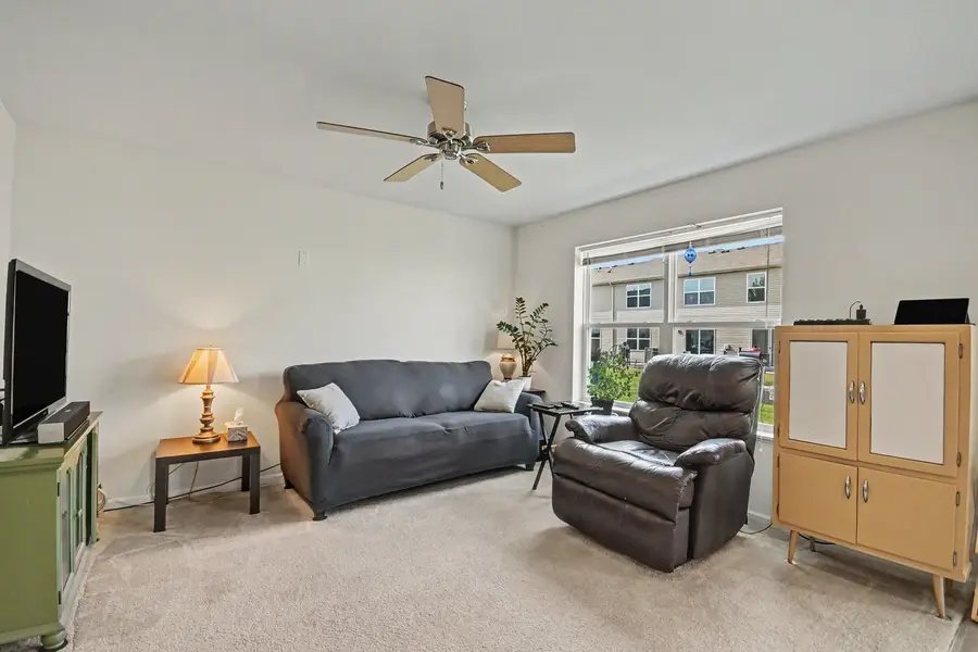 272 Wildmeadow Lane, Woodstock, IL 60098 - #3