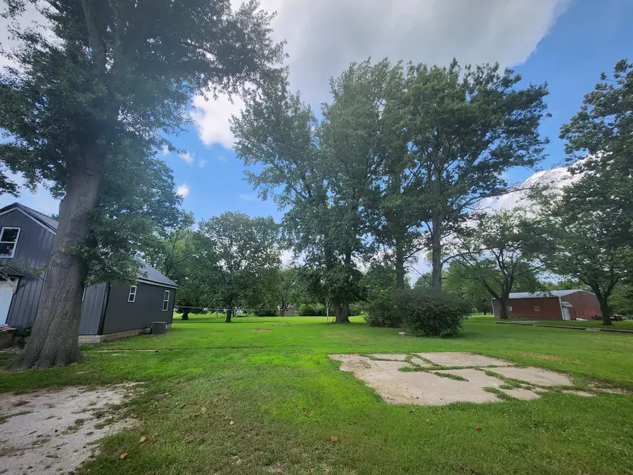 1111 New Street, Pinckneyville, IL 62274 - #3