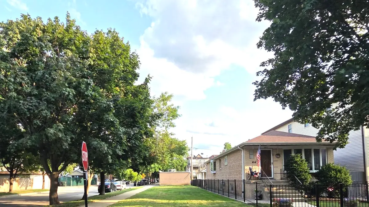 501 W 44th Place, Chicago, IL 60609 - #1