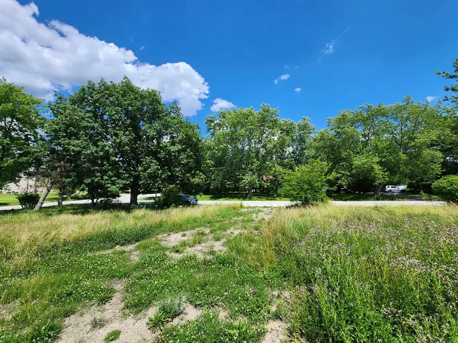 26114 S Victoria Lane, Crete, IL 60417 - #2