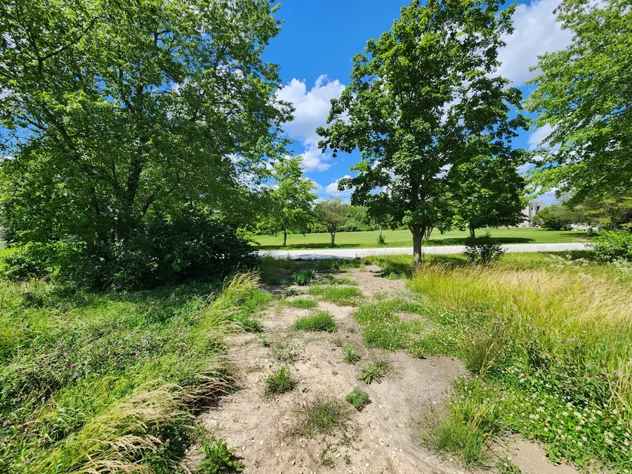 26114 S Victoria Lane, Crete, IL 60417 - #3