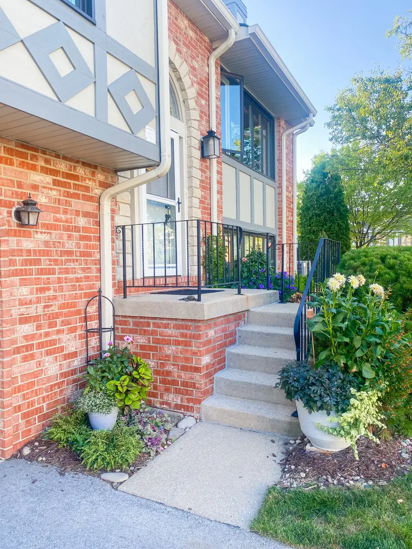 9241 Windsor Parkway, Tinley Park, IL 60487 - #3