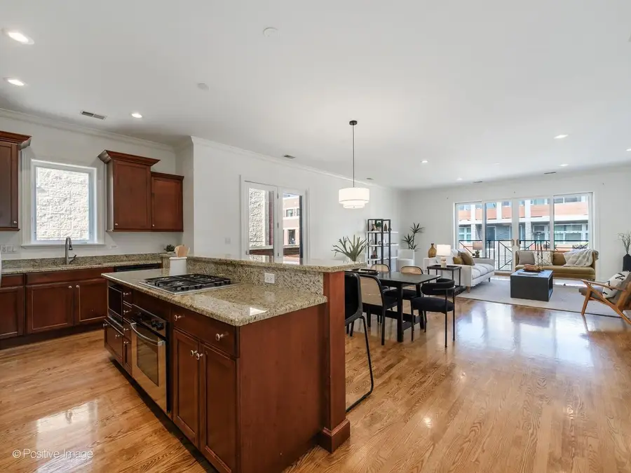 802 W Wolfram Street #3N, Chicago, IL 60657 - #3
