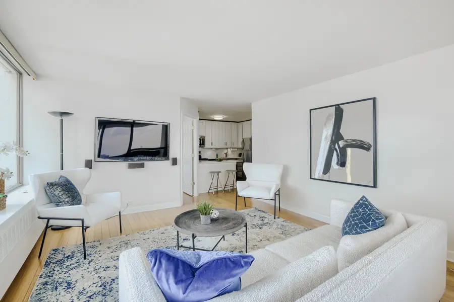 1455 N Sandburg Terrace #2009, Chicago, IL 60610 - #3