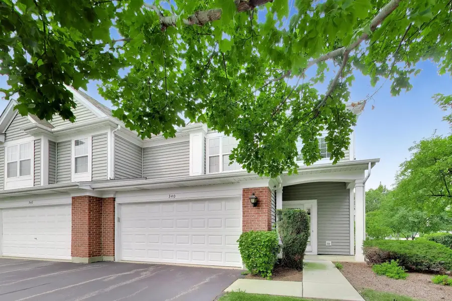 340 S Jewel Court, Palatine, IL 60074 - #2