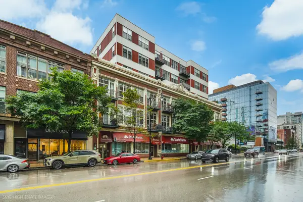 1631 S Michigan Avenue #502, Chicago, IL 60616