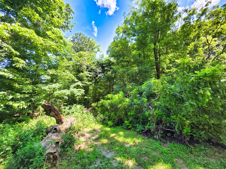 000 S Stanford Road, Flora, IL 62839 - #2