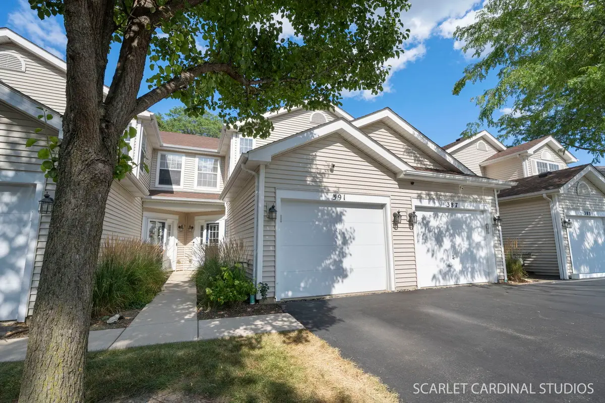 391 Hunterdon Court #4391A, Schaumburg, IL 60194 - #1