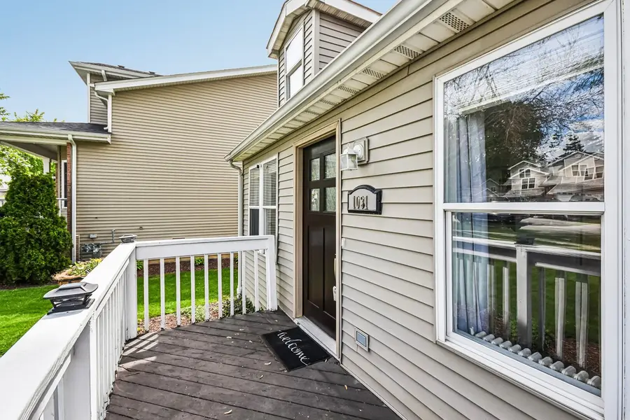 1031 Adelia Street, Downers Grove, IL 60516 - #2