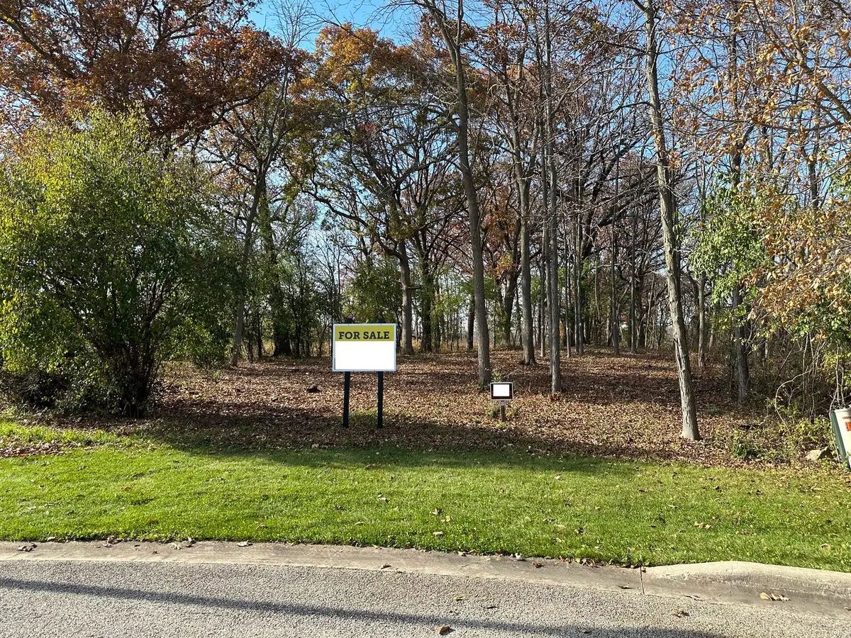 14942 W Concord Court, Wadsworth, IL 60083 - #1