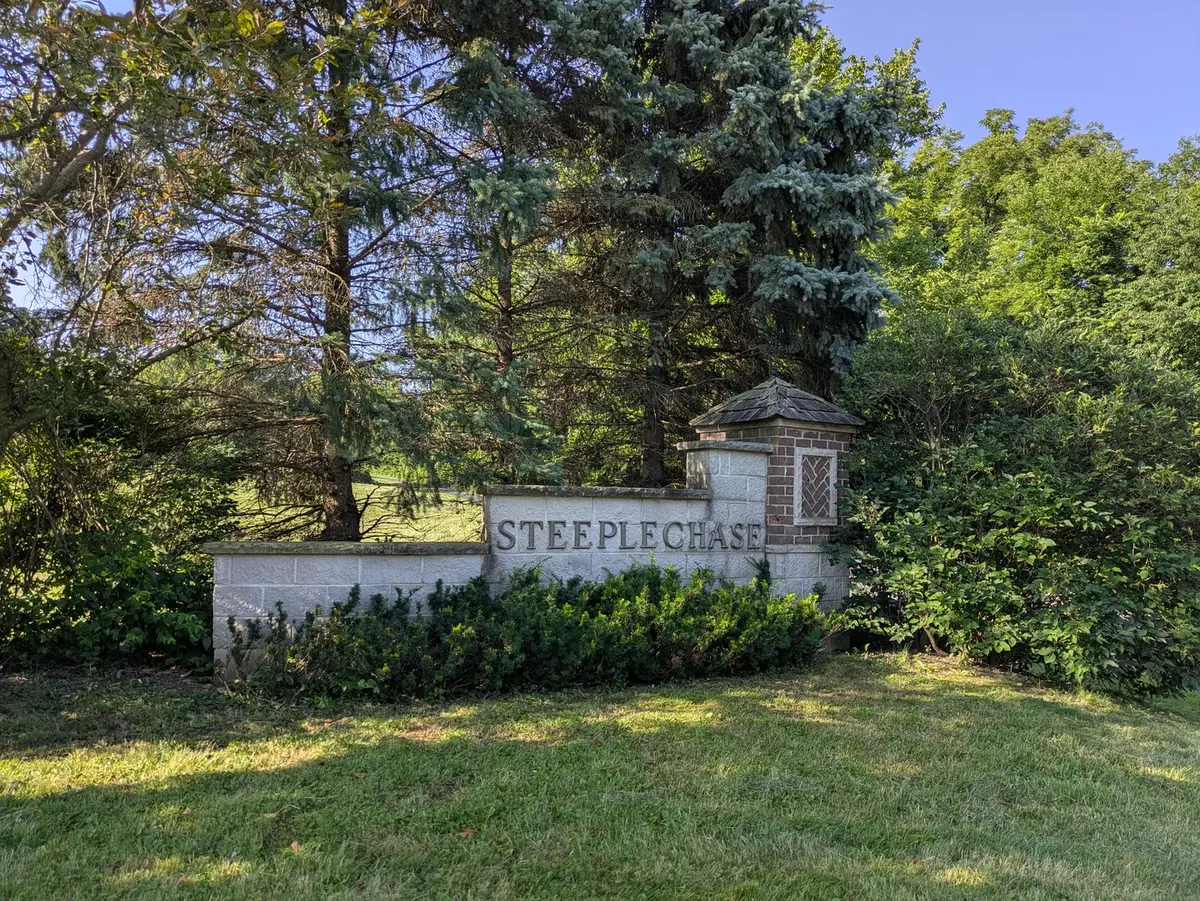 13131 Steeplechase Drive, New Lenox, IL 60451 - #1