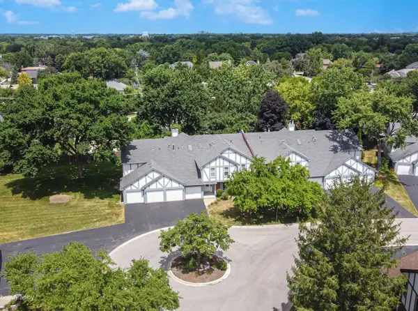 16 W Fern Court #204, Palatine, IL 60067