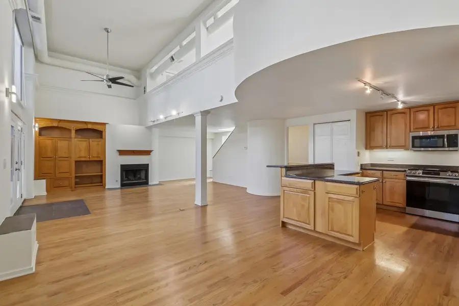 1133 W Cornelia Avenue #B, Chicago, IL 60657 - #3