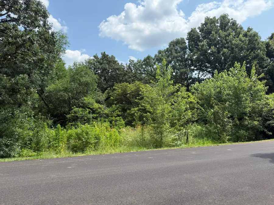 3N541 Prairie Drive, Saint Charles, IL 60175 - #2