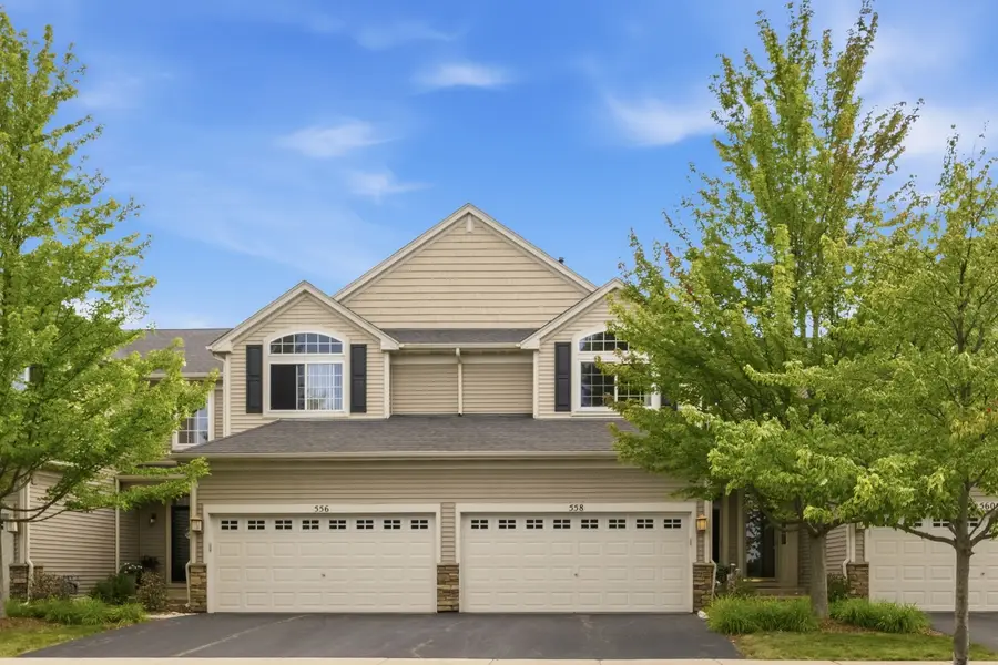 558 Telluride Drive, Gilberts, IL 60136 - #2