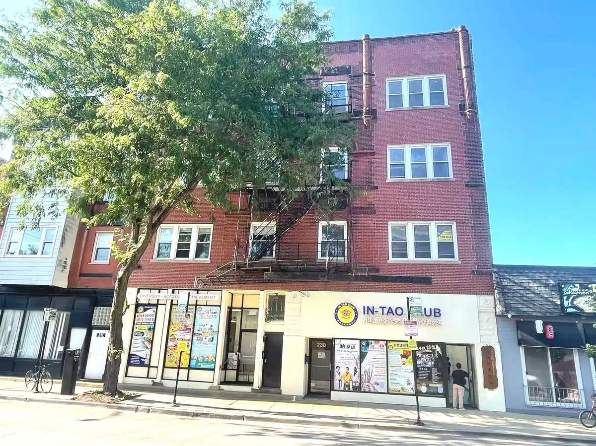 238 W 31st Street #2E, Chicago, IL 60616 - #1