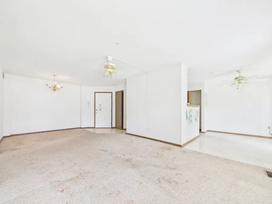 13834 S Bristlecone Drive #D, Plainfield, IL 60544 - #3