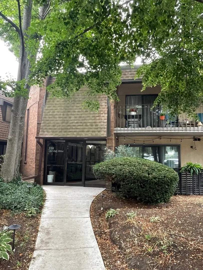 230 N Old Oak Drive #171, Buffalo Grove, IL 60089 - #1